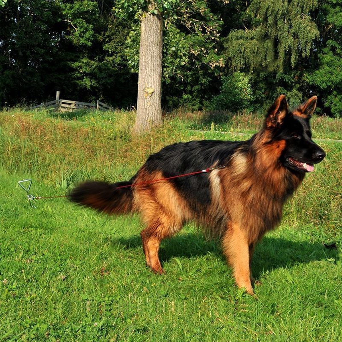 PROPLUS Aanlegspiraal met kabel