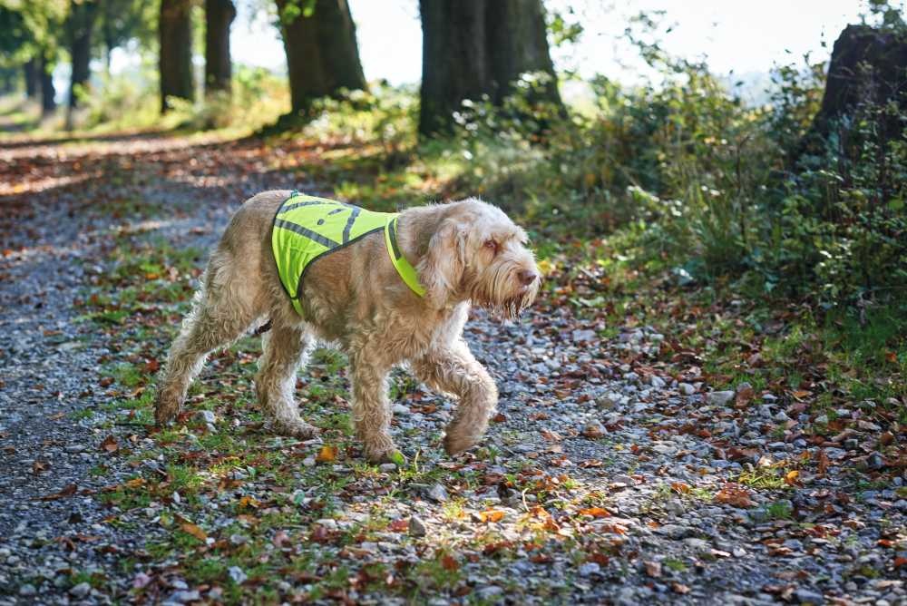 Hunter Veiligheidsvest - Geel