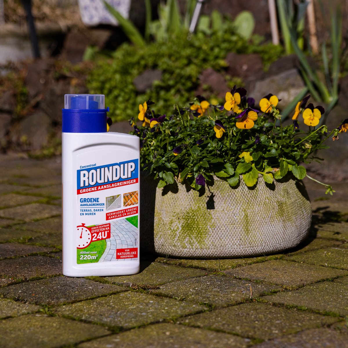 Roundup Groene Aanslag Reiniger Concentraat 400ml