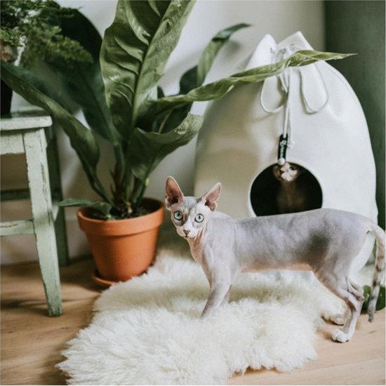 District 763 Kattenmand Casa Merengue - Beige