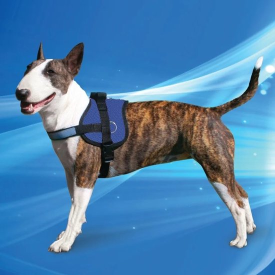 Aqua Coolkeeper Cooling Survival Harnass Pacific Blue