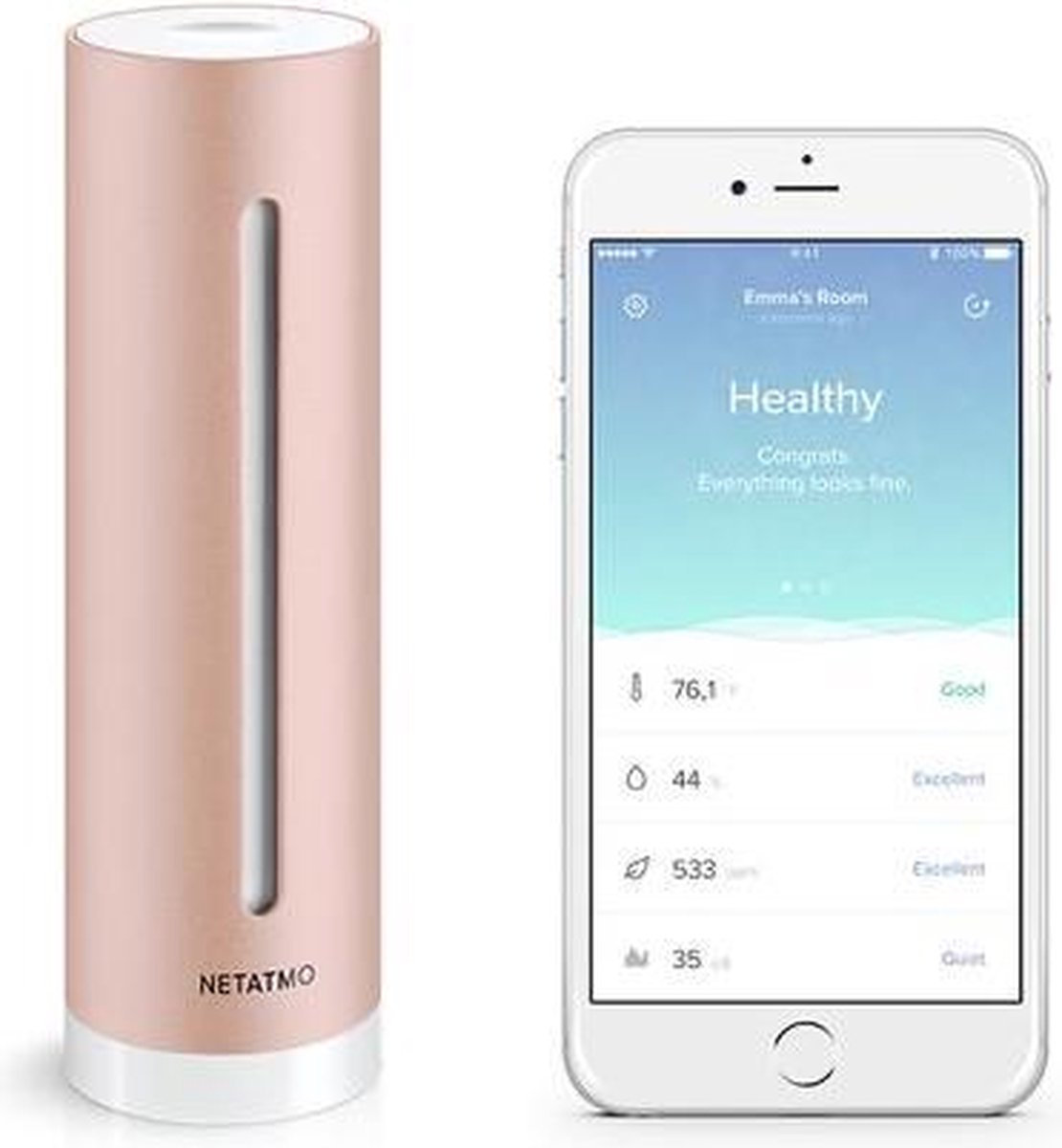 Netatmo Healthy Home Coach NE1020ZZ Thermo- en hygrometer met app