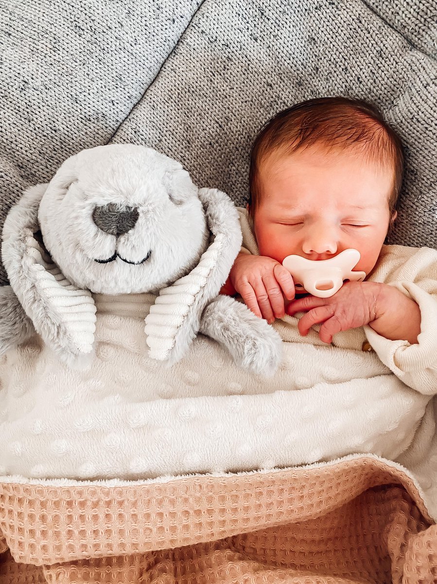 Flow Amsterdam Hartslag Knuffel - White Noise - Milo Het Konijn - Grijs