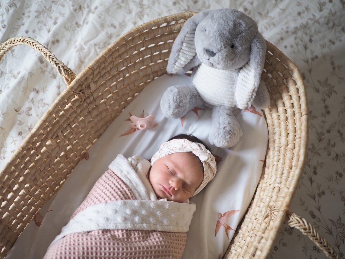 Flow Amsterdam Hartslag Knuffel - White Noise - Milo Het Konijn - Grijs