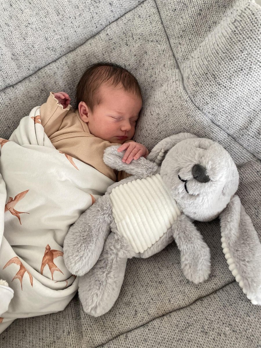 Flow Amsterdam Hartslag Knuffel - White Noise - Milo Het Konijn - Grijs