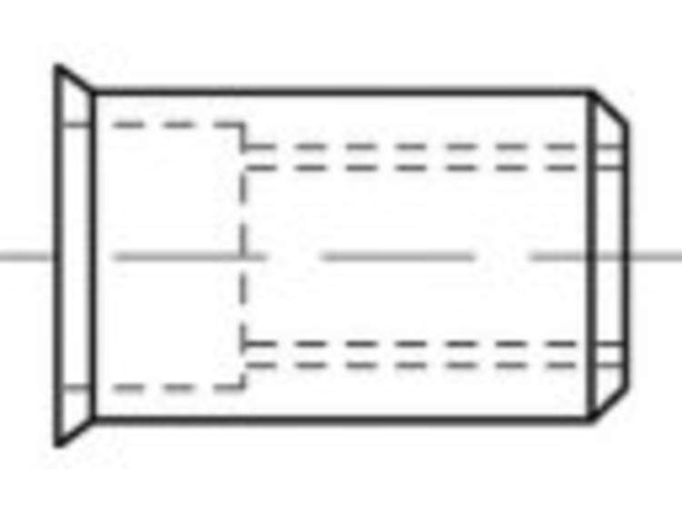 TOOLCRAFT TO-5380419 Blindklinkmoer M6 RVS 250 stuk(s)