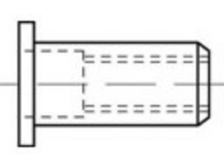 TOOLCRAFT TO-5380437 Blindklinkmoer M4 RVS 500 stuk(s)