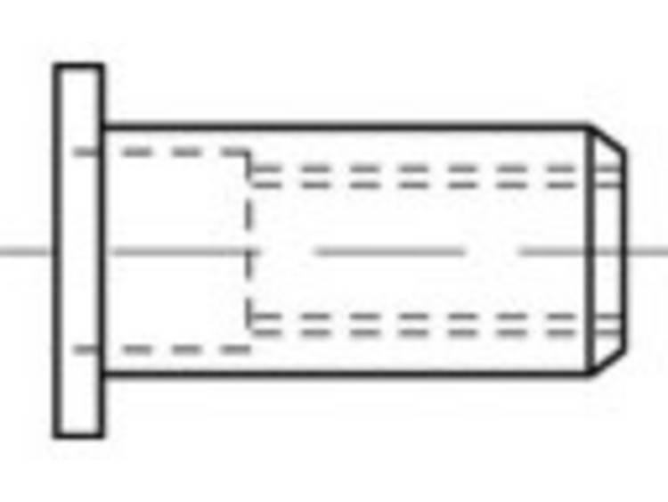 TOOLCRAFT TO-5380440 Blindklinkmoer M4 RVS 500 stuk(s)