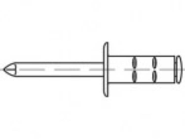 TOOLCRAFT TO-5380533 Blindklinknagel 3.2 mm RVS 1000 stuk(s)