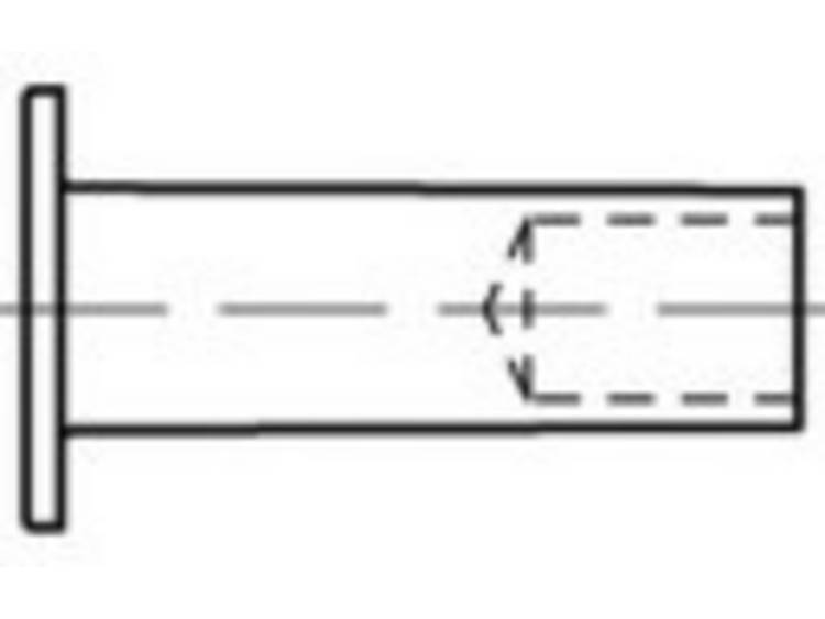 TOOLCRAFT TO-5454261 Halfholle klinknagel 6 mm 100 stuk(s)