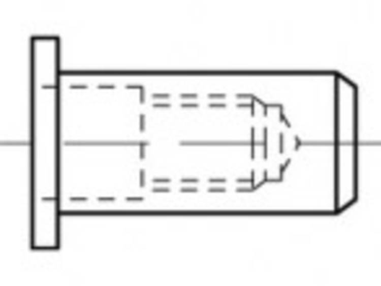 TOOLCRAFT TO-5455272 Blindklinkmoer M6 500 stuk(s)