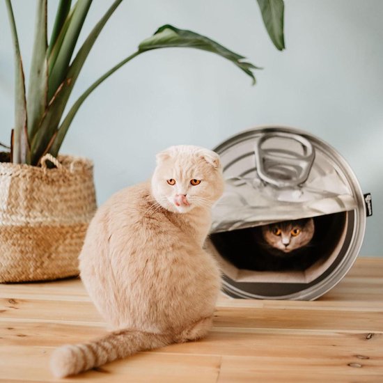 District 763 Krabmeubel Can - Grijs