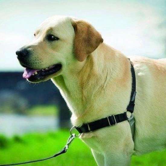 Petsafe Anti-Trek hondentuig Easy Walk ® - Zwart