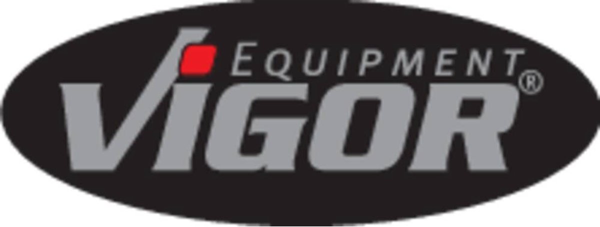 Vigor Fase tester 3 mm 150 - 250 V/AC