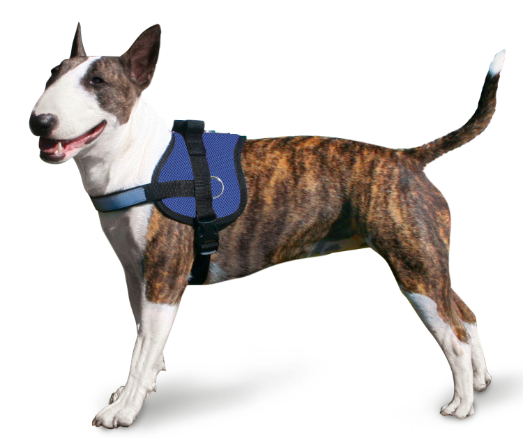 Aqua Coolkeeper Cooling Survival Harnass Pacific Blue