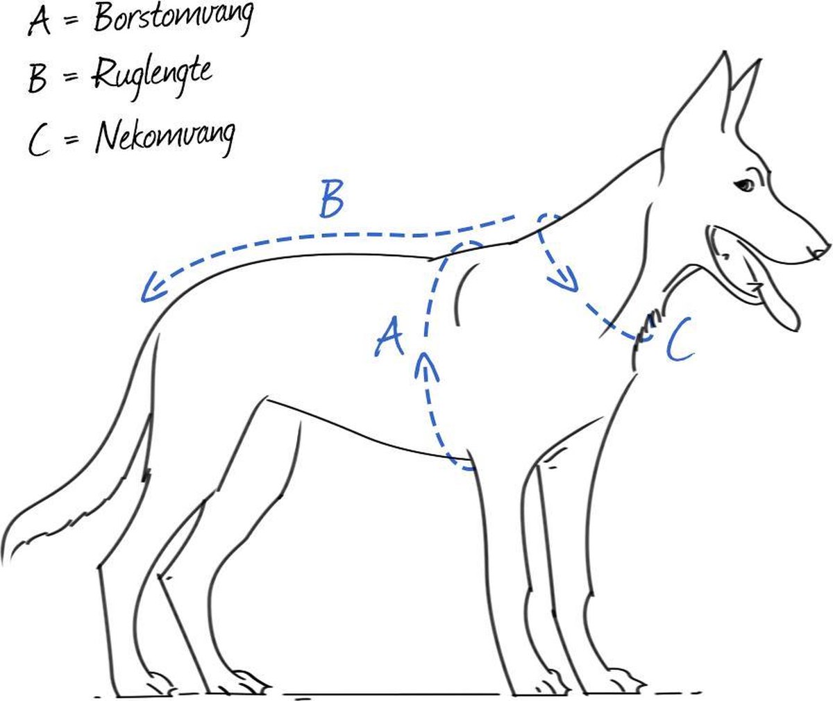 Hunter Hondenharnas Racing - Rood