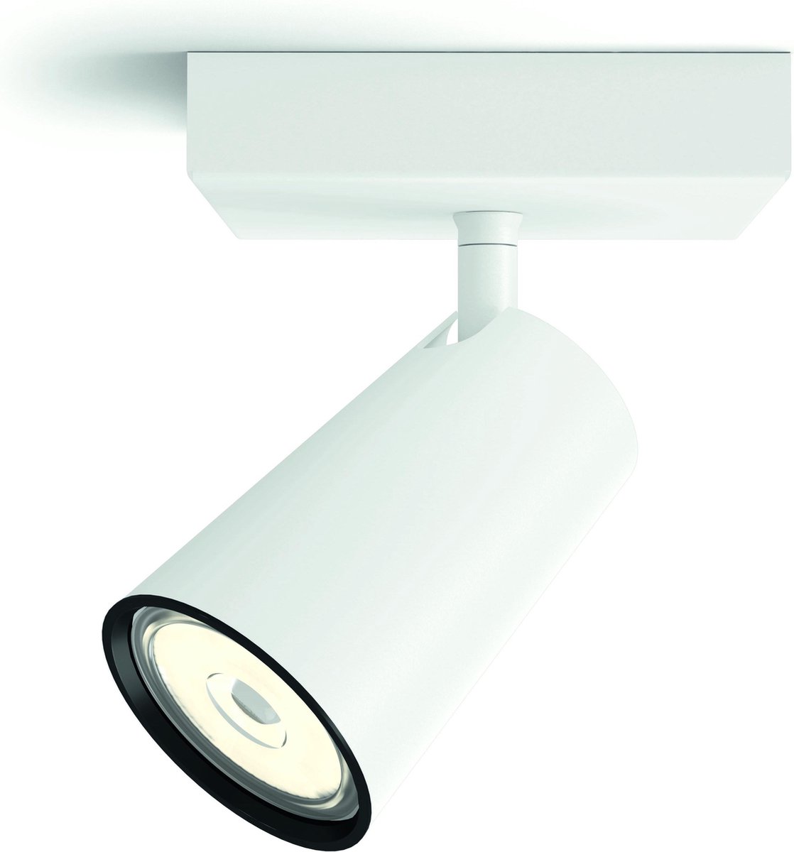 Philips - Paisley - Opbouwspot - 1 Lichtpunt - Wit