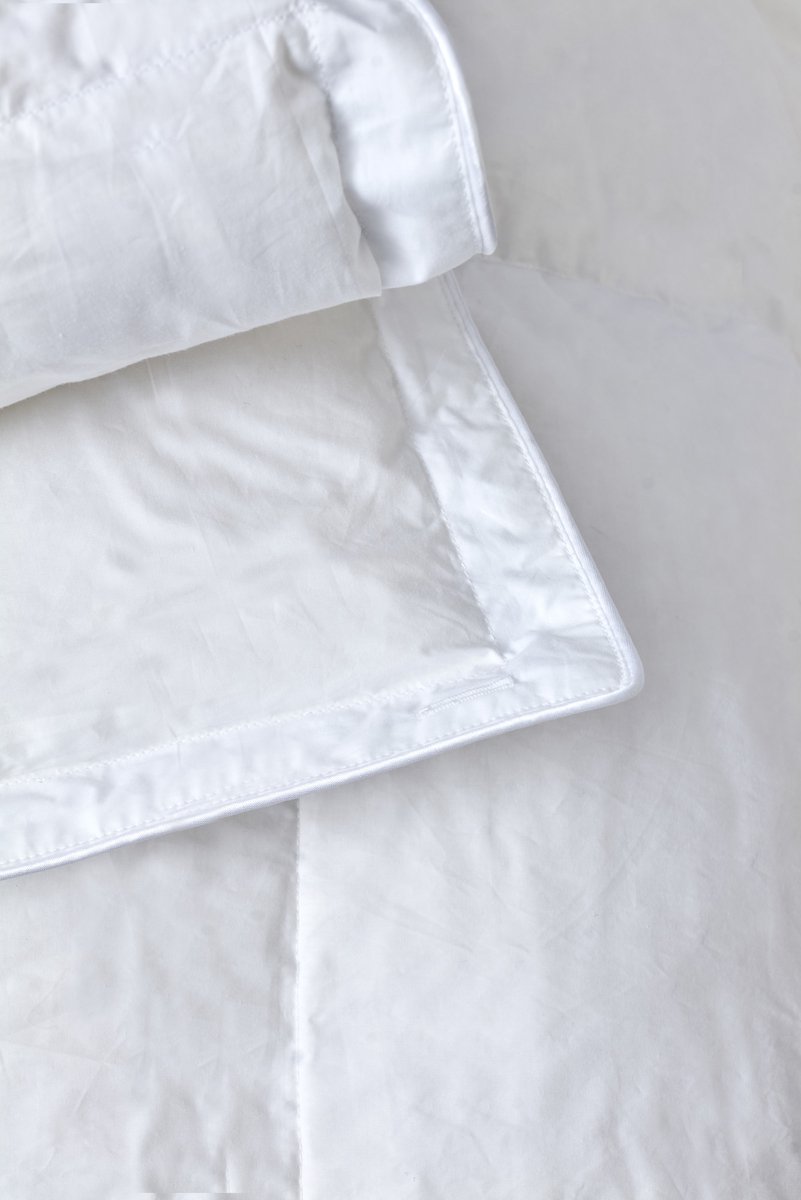 Dreamstar Dekbed Xclusive 100% Zuivere Gans 240x220 Winter