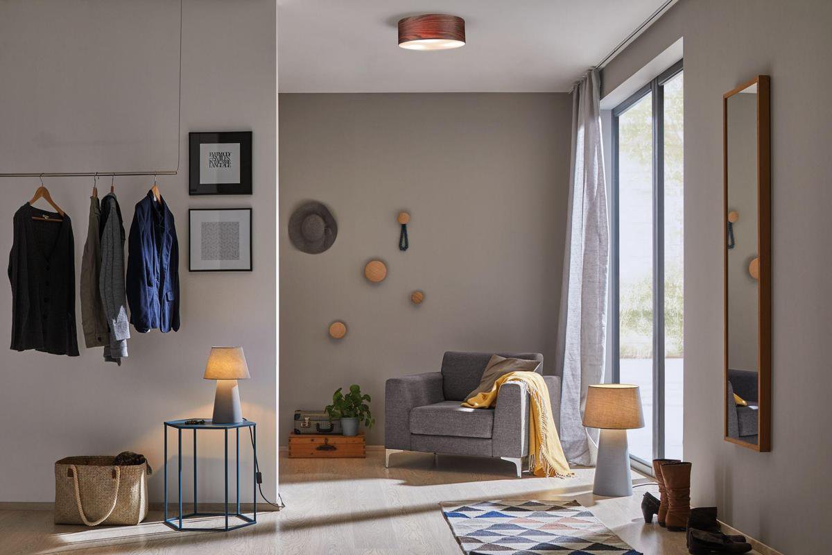 Paulmann Neordic Liska 79687 Plafondlamp LED E27 60 W Hout (donker)