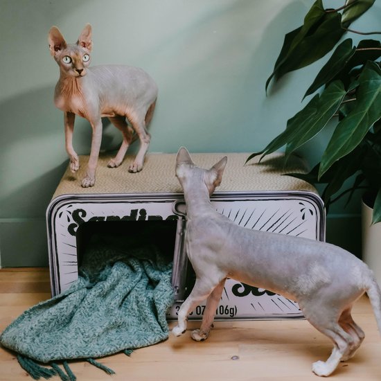 District 763 Krabmeubel Sardine - Wit