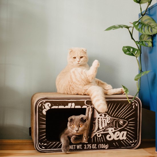 District 763 Krabmeubel Sardine - Zwart