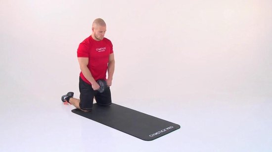 Gymstick dubbel trimwiel - Met Online Trainingsvideo's