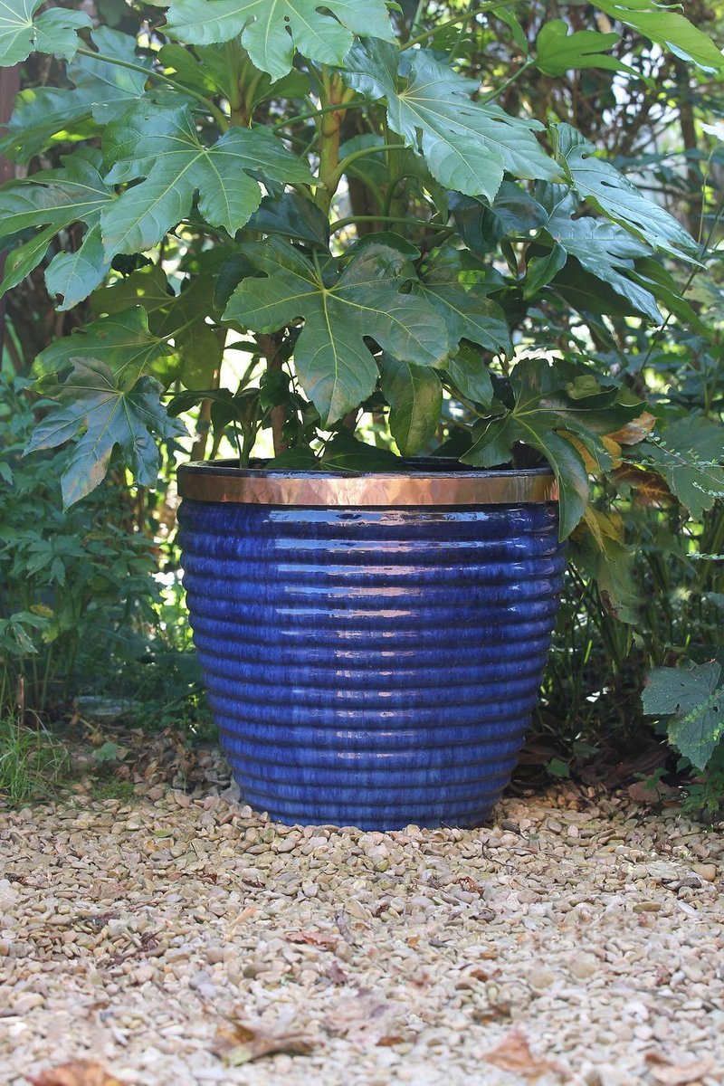 Nature Anti-slakken kopertape 4mx30mm