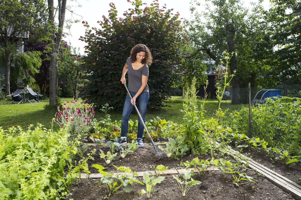 GARDENA NatureLine krabber