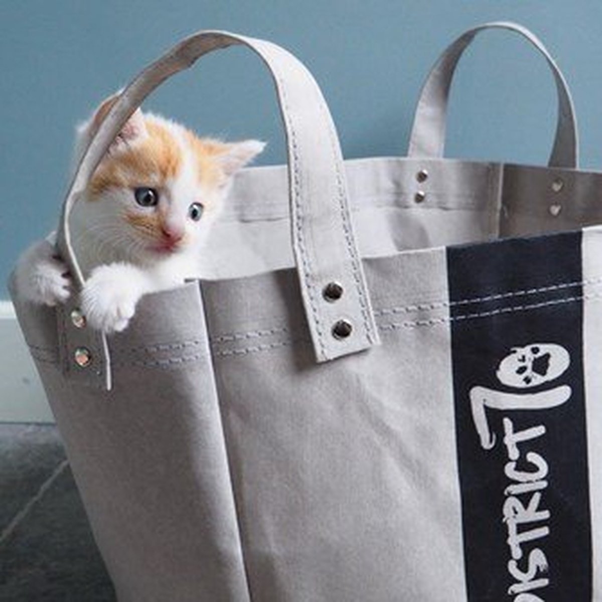 Kattenmand Paper Licht - Grijs