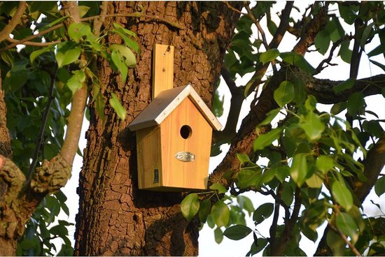 Best For Birds Vogelhuisje Esschert Design - Groen