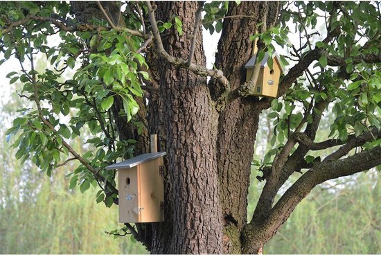 Best For Birds Vogelhuisje Esschert Design - Groen