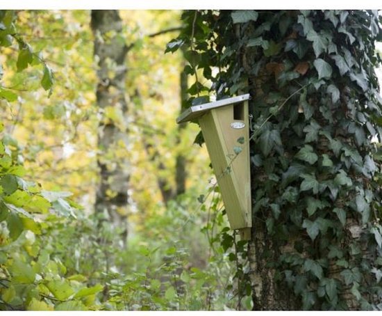 Best For Birds Nestkast boomkruiper