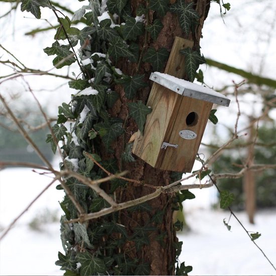 Best For Birds Nestkast winterkoning