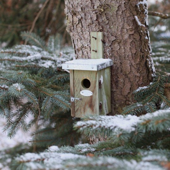 Best For Birds Nestkast winterkoning