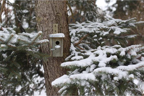 Best For Birds Nestkast winterkoning