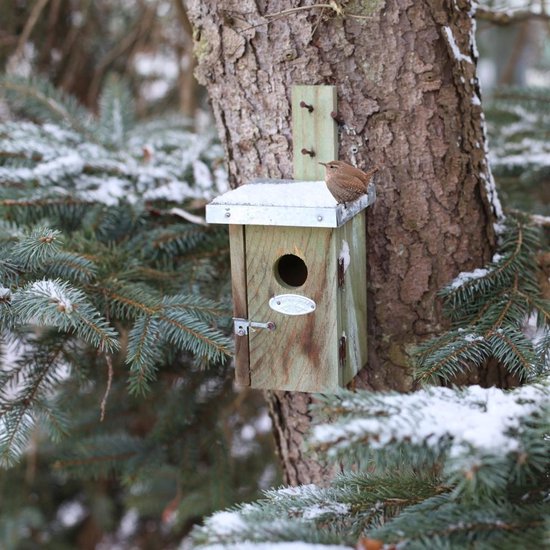 Best For Birds Nestkast winterkoning