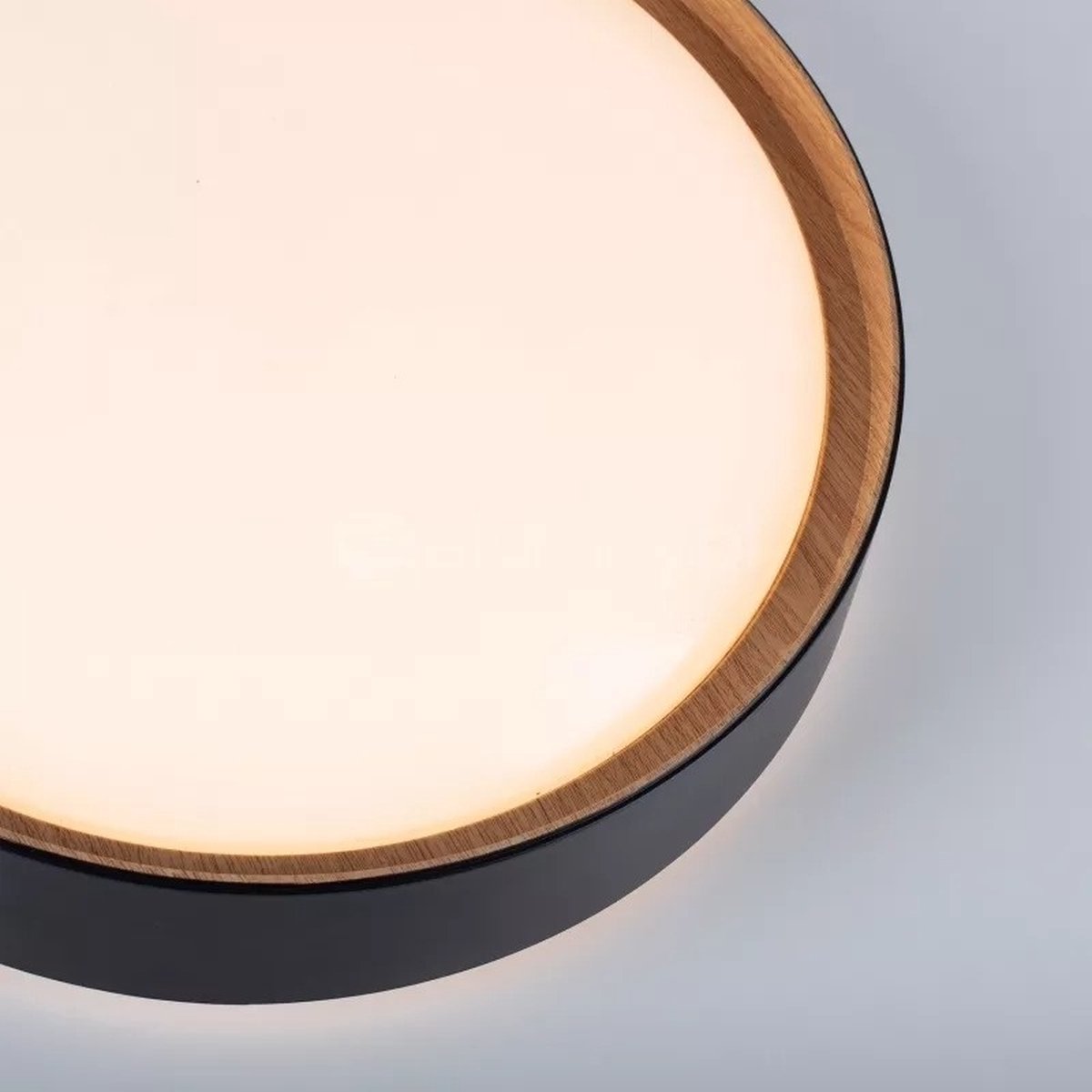 Paul Neuhaus Plafondlamp Milia Ø 40cm incl. Dimmer - Zwart