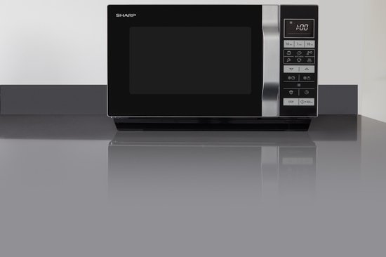 Sharp R360S - Silver