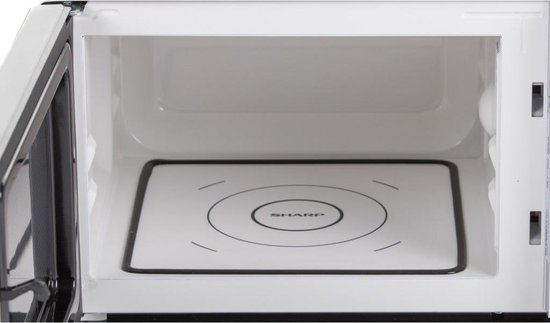 Sharp R360S - Silver