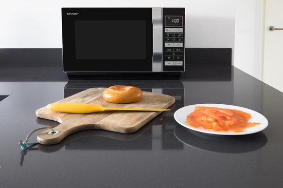 Sharp R360S - Silver