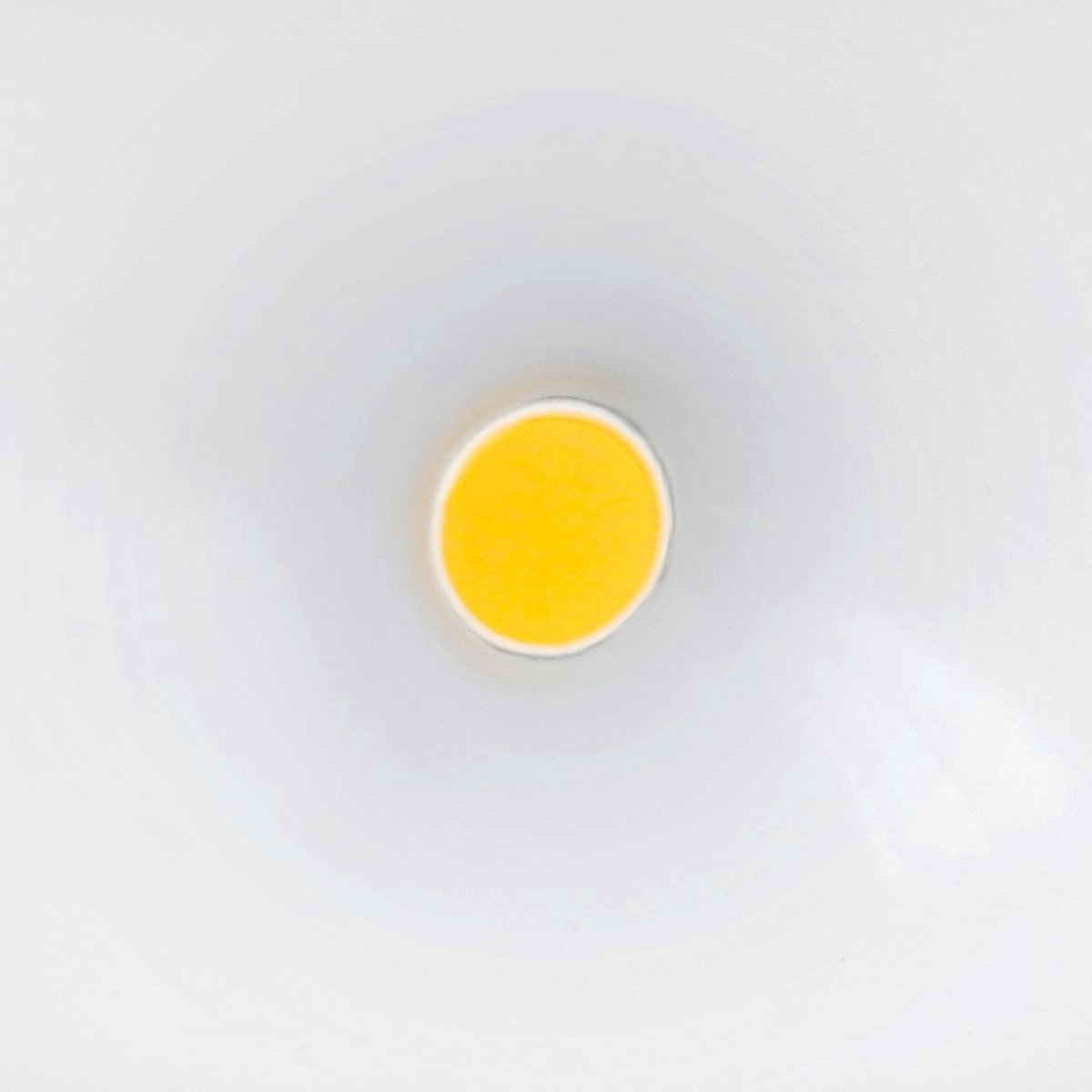 Steinel Sensor spotlight voor buiten LS 150 LED 052546 - Zwart