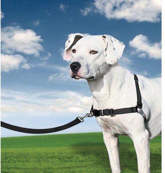 Petsafe Anti-Trek hondentuig Easy Walk ® - Zwart