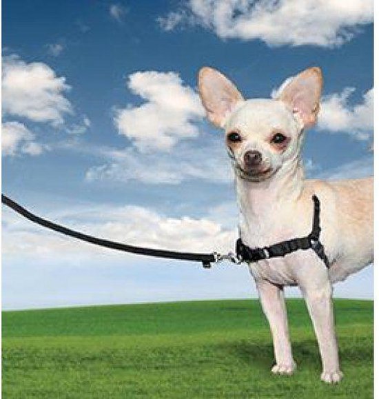 Petsafe Anti-Trek hondentuig Easy Walk ® - Zwart
