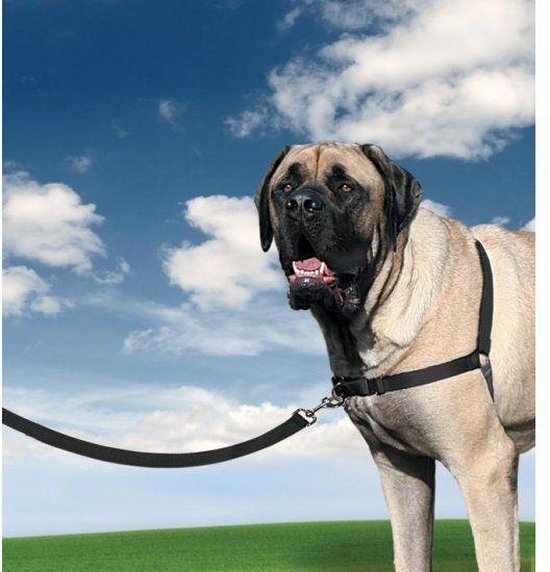 Petsafe Anti-Trek hondentuig Easy Walk ® - Zwart