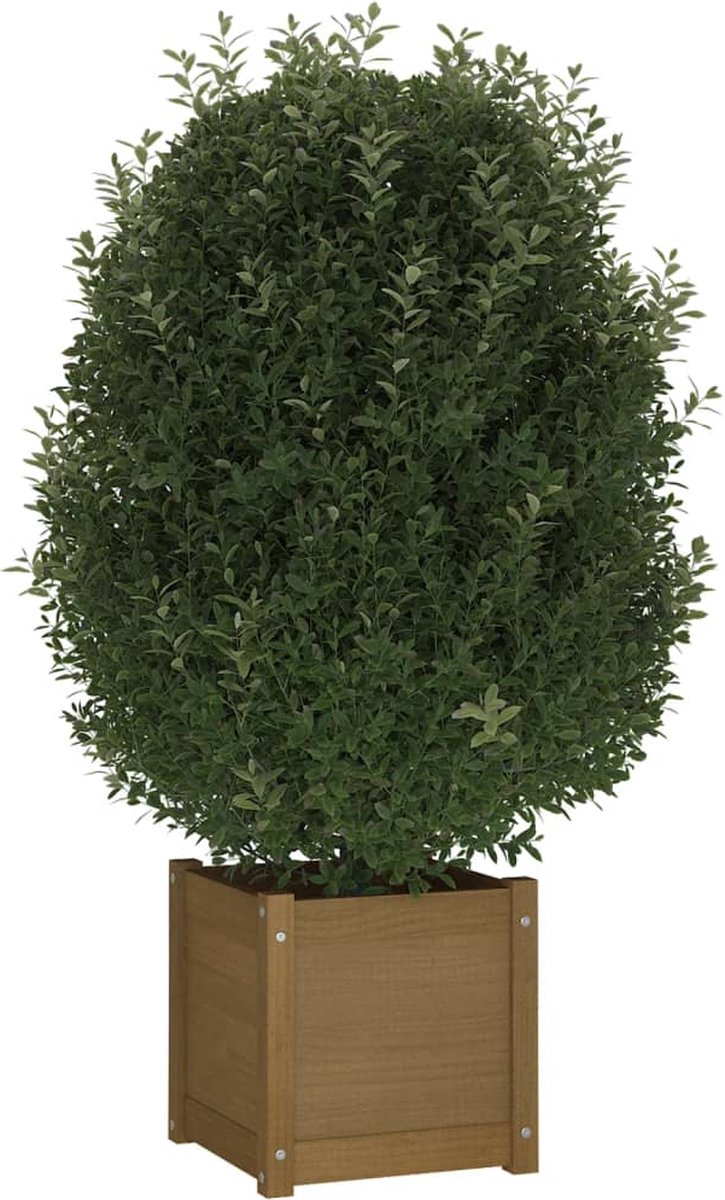 Vidaxl Plantenbak 40x40x40 Cm Massief Grenenhout Honing - Bruin