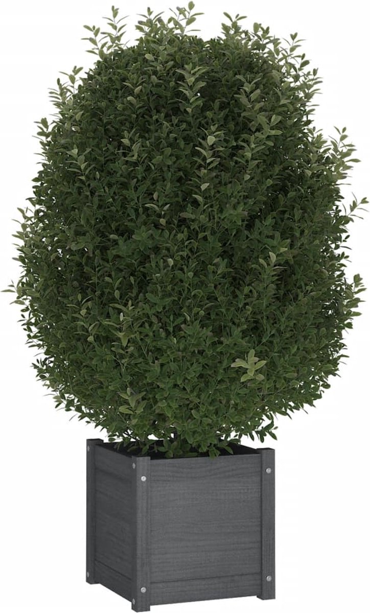Vidaxl Plantenbakken 2 St 40x40x40 Cm Massief Grenenhout - Grijs