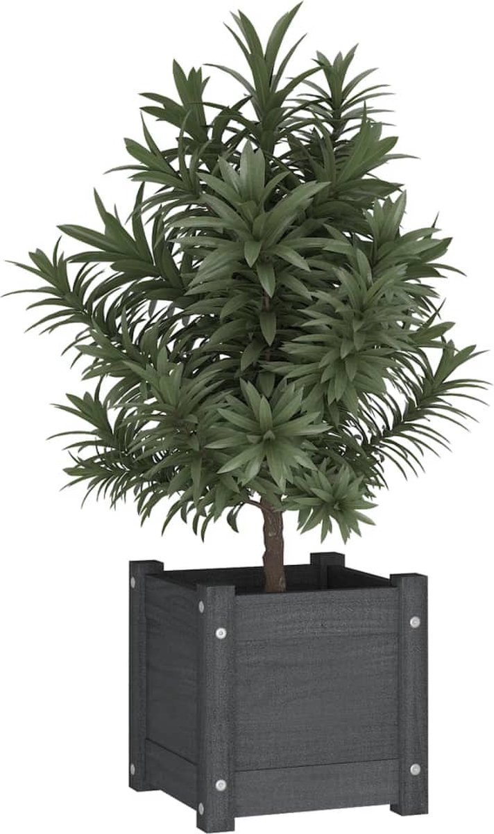 Vidaxl Plantenbakken 2 St 31x31x31 Cm Massief Grenenhout - Grijs