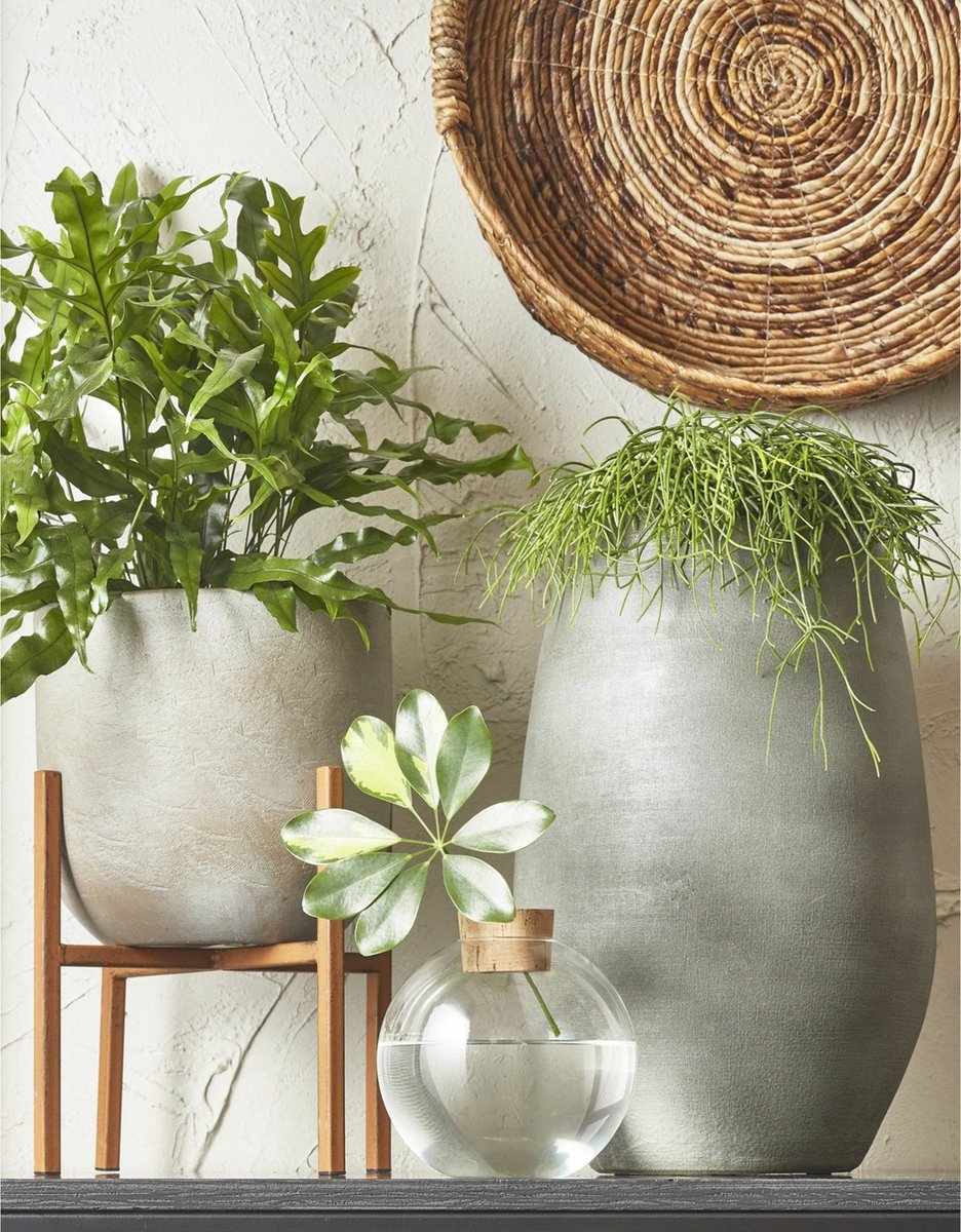 Mica Decorations Bloempot Vaas Licht Keramiek Voor Bloemen/planten H50 X D29 Cm - Vazen - Grijs