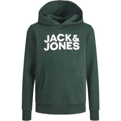 JACK & JONES Sweater - Groen