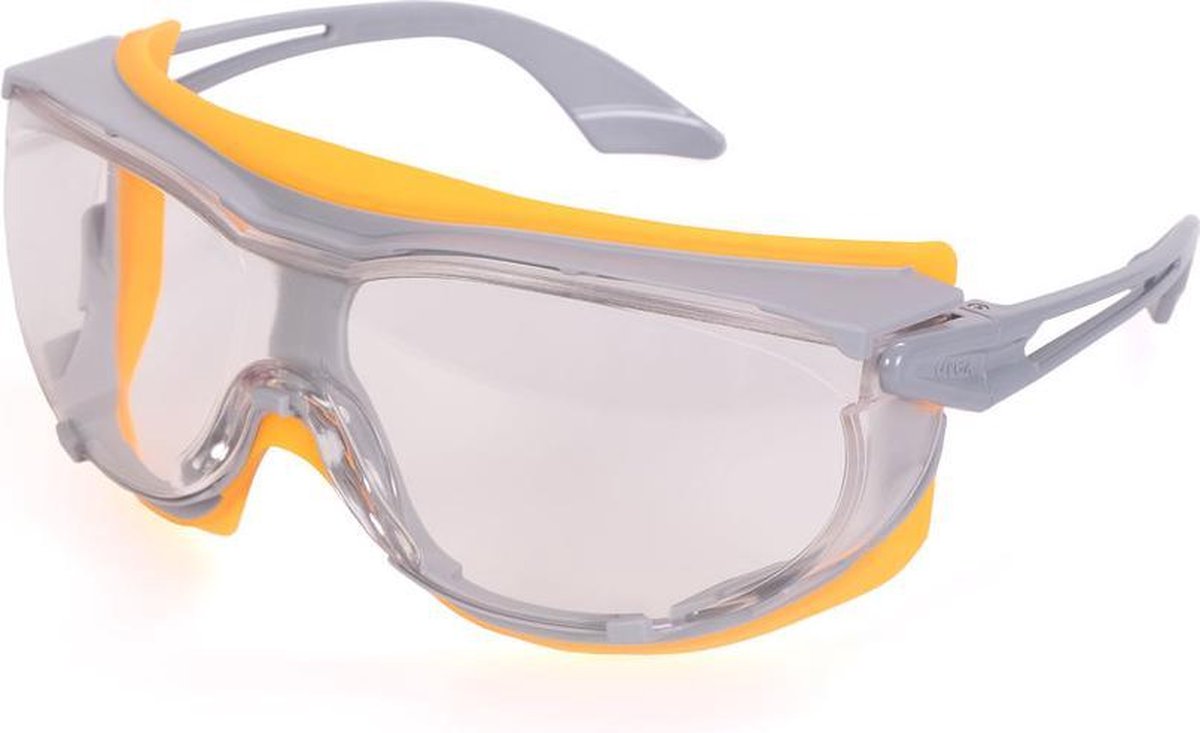 Uvex Veiligheidsbril Skyguard NT